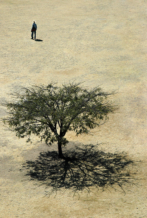 Man and Tree. Monte Alban. Oaxaca Mexico Photograph by Rob Huntley