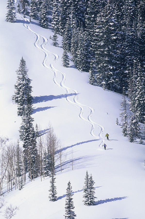 Winter Photograph - Man And Woman Powder Skiing by Scott Markewitz