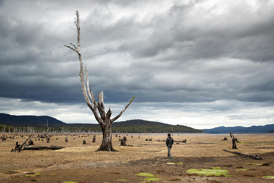 Man Approaching A Huge Dead Tree Photograph By Kamil Sustiak - Fine Art 