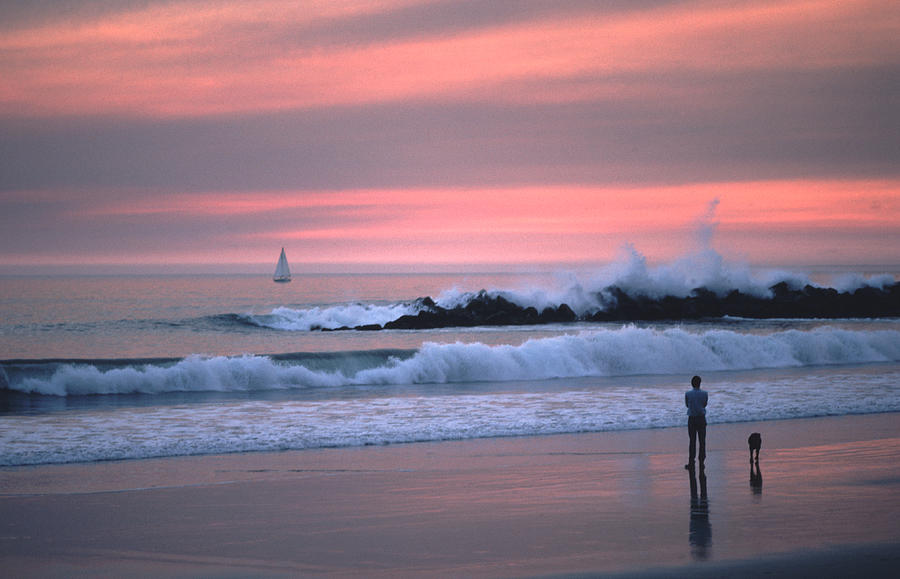 Man Dog Pink Sunset Venice Beach Photograph by Tom Wurl