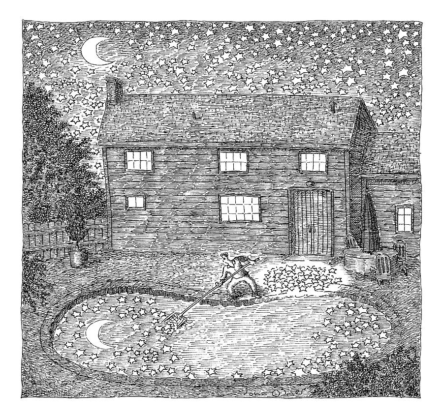 Man Fishes Stars Out Of His Pool At Nighttime Drawing by John OBrien