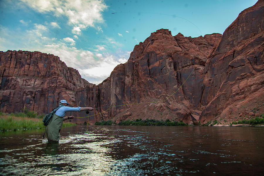 Grand Canyon National Park Photograph - Man Fly Fishing During Sunset by Scott Hardesty
