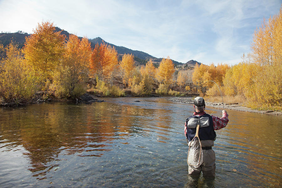 Man Fly Fishing Photograph by Karl Weatherly