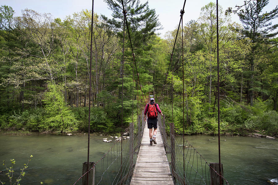 Man Hiking Along Rope Bridge Photograph by Steele Burrow | Fine Art America