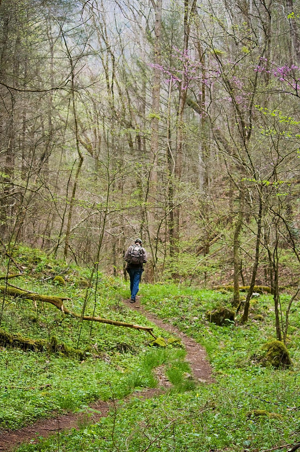Man Hiking in the Smoky Mountains Photograph by Melinda Fawver
