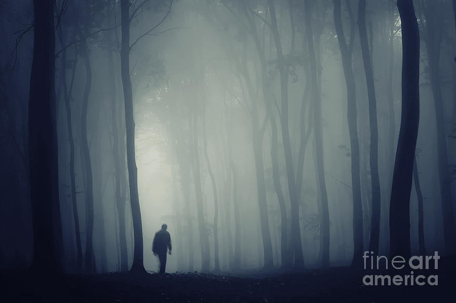 Man In Dark Mysterious Forest With Fog Photograph By Photo Cosma