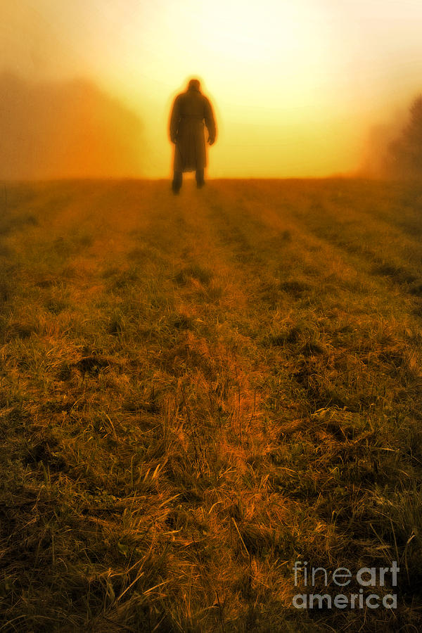 Man in field at sunset Photograph by Edward Fielding