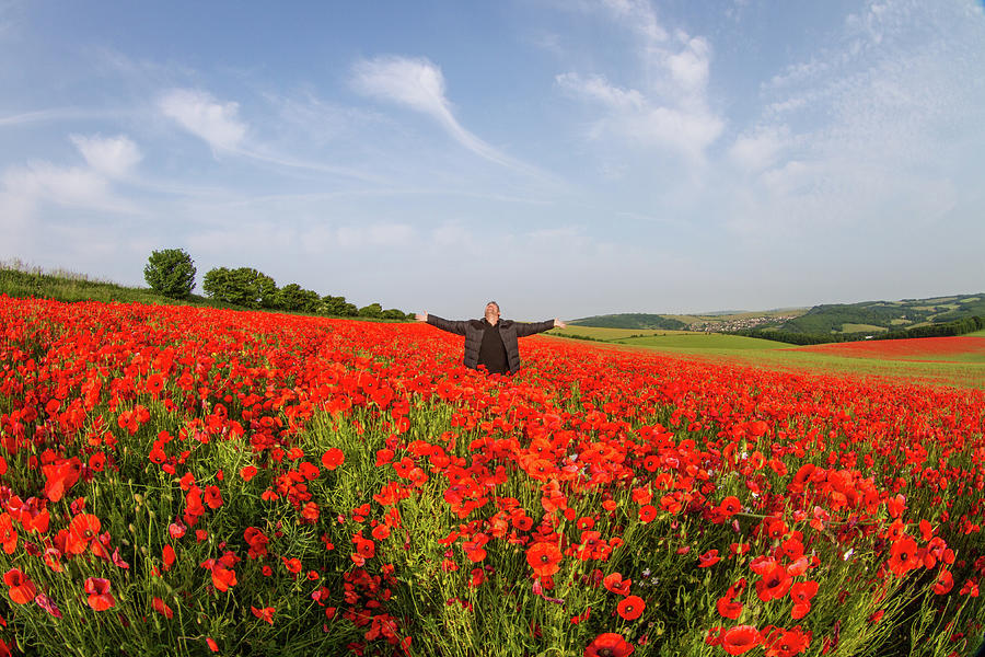 Man In Poppy Field Photograph by Paul Mansfield Photography