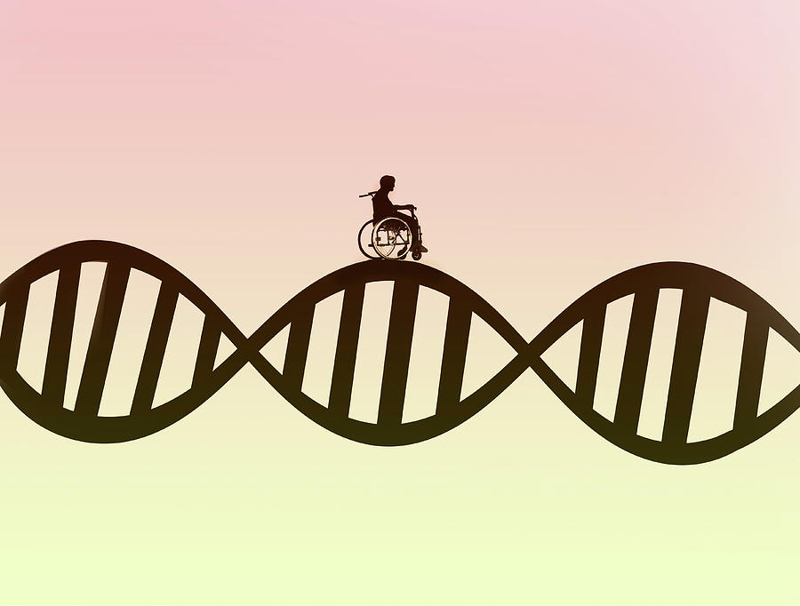 Man In Wheelchair On Dna Double Helix Photograph by Ikon Ikon Images