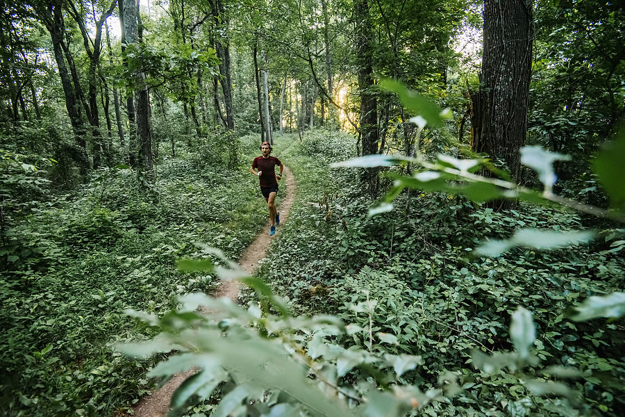 Man jogging in forest along Mountain to Sea Trail, Asheville, North Carolina, USA Photograph by Andy Wickstrom / Aurora Photos