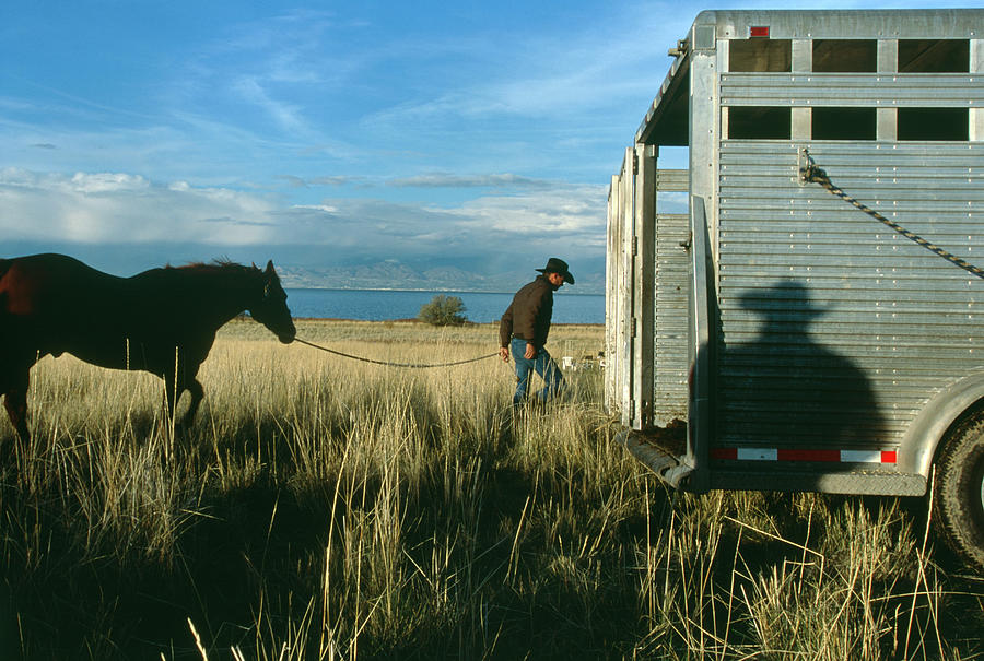 Horse Photograph - Man Loads His Horse Near Great Salt by Robb Kendrick