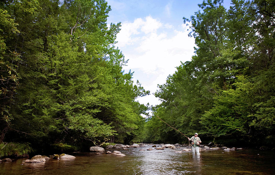 Man Long Casting In The Greenbrier Photograph by Corey Nolen | Fine Art ...