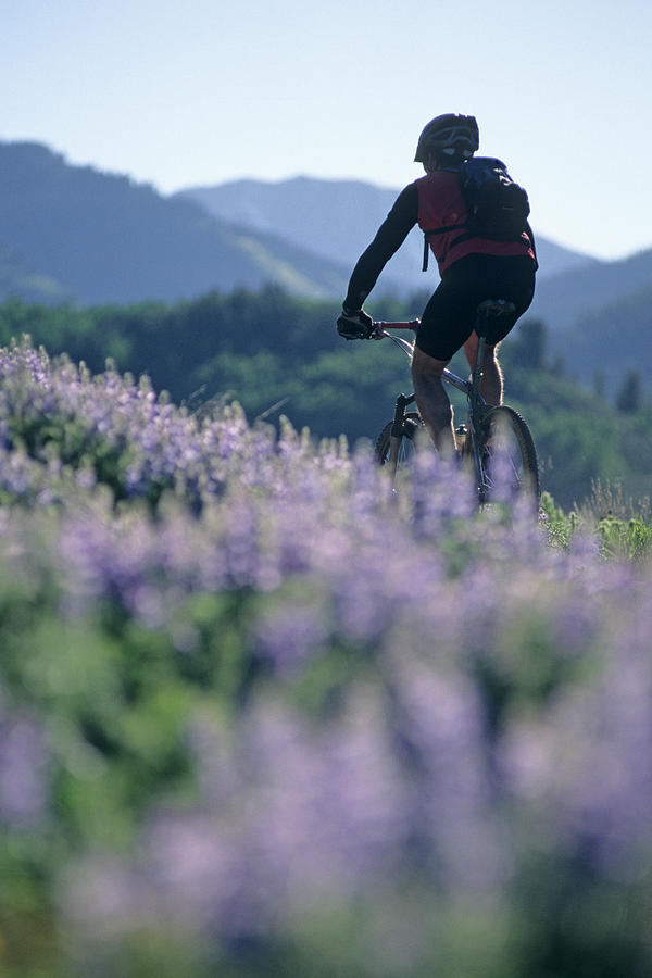 Man Mountian Biking Through Flowers Photograph by Kennan Harvey Man Mountian Biking Through Flowers Photograph by Kennan Harvey