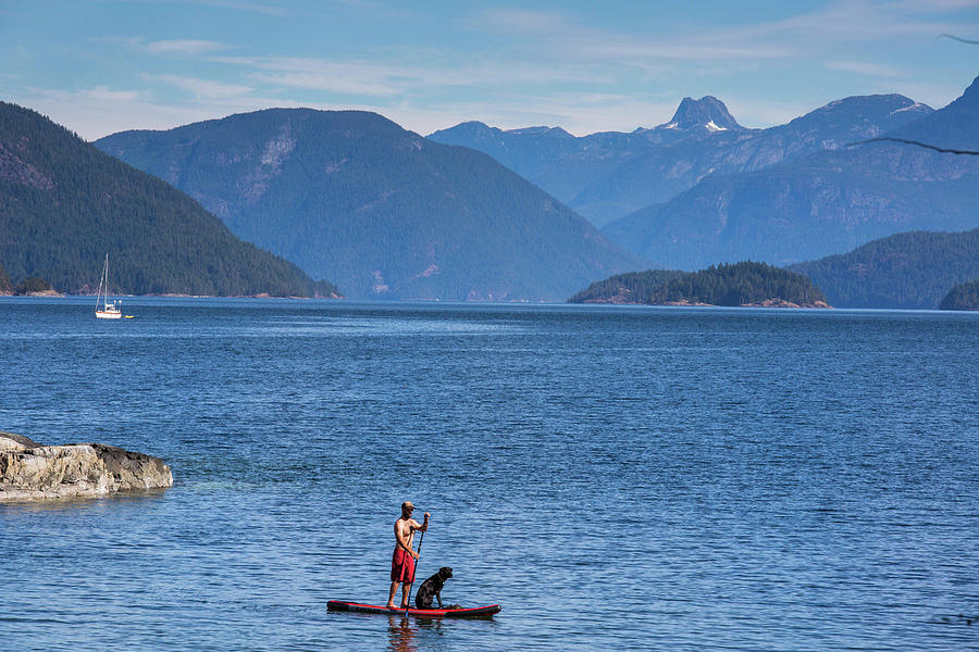 Nature Photograph - Man Paddleboarding In Desolation Sound by Michael Hanson