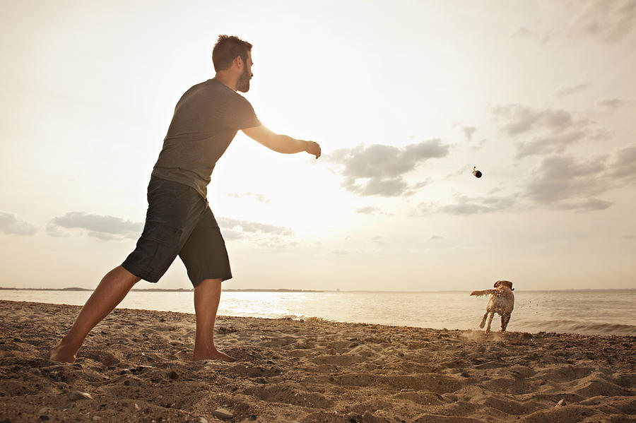 Man playing on beach with dog Photograph by Uwe Krejci