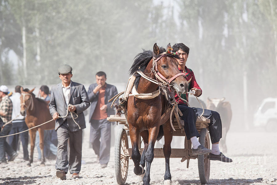 Man riding a carriage at Kashgar sunday market China Photograph by Matteo Colombo