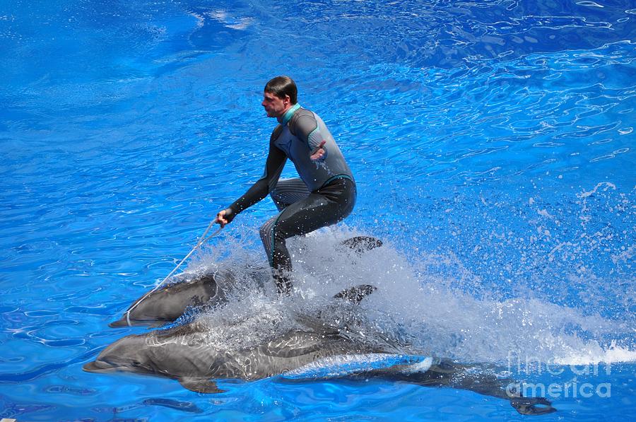 Man riding Dolphins Photograph by M J - Fine Art America