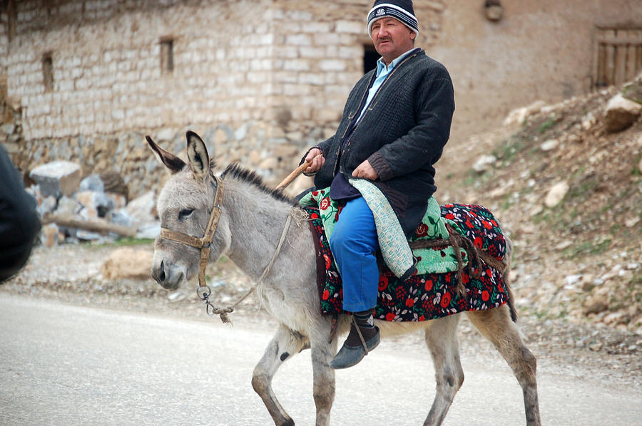 man-riding-on-donkey-rafaelwiedenmeier.jpg