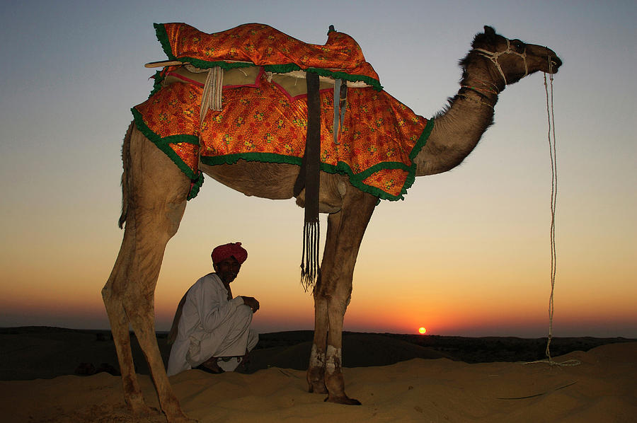 Sunset Photograph - Man Sitting With His Camel At Sunset by Piper Mackay
