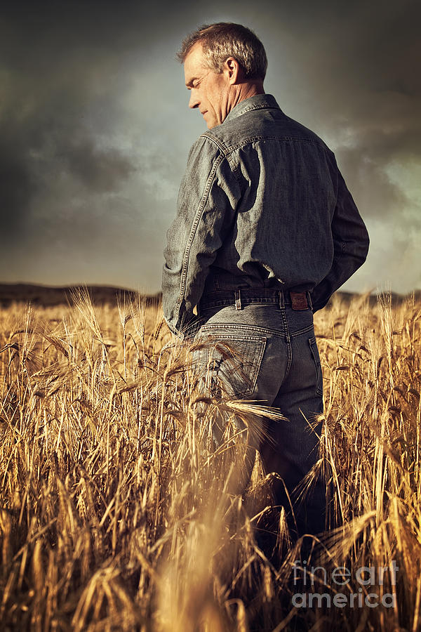 Man standing in wheat field Photograph by Sandra Cunningham