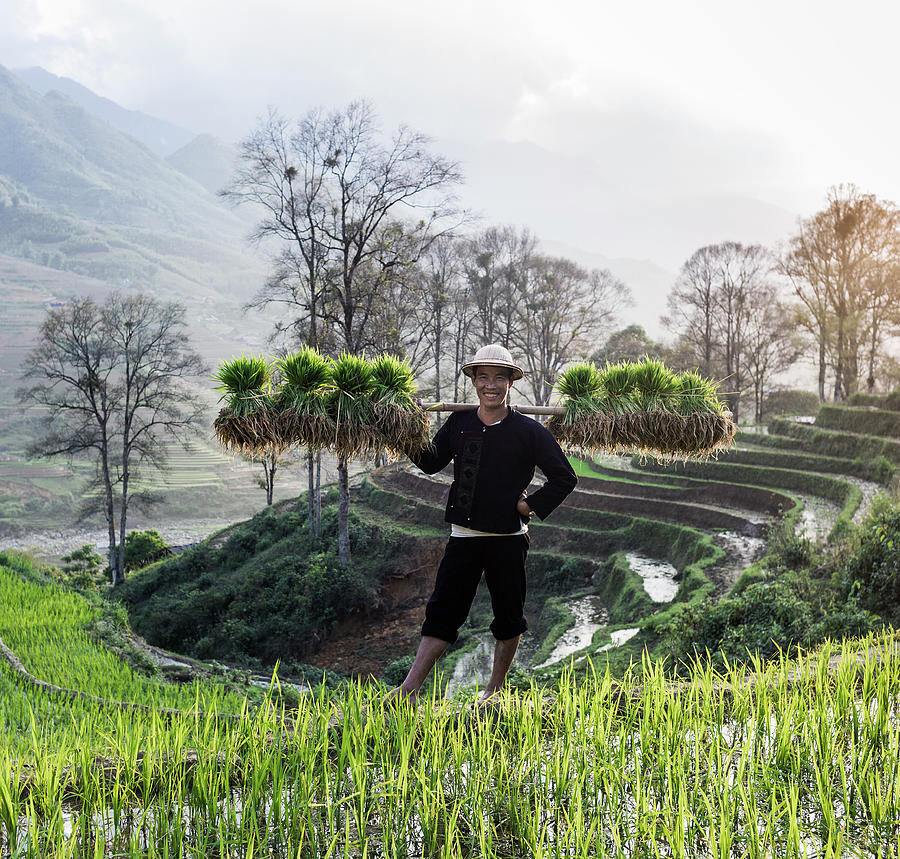 Man Stanging In Rice Paddy Carrying Photograph by Martin Puddy