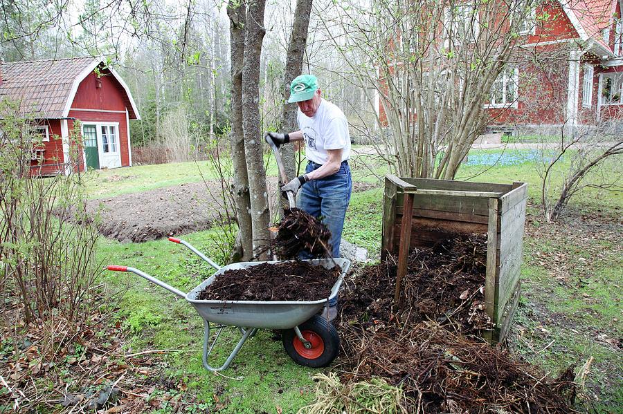 Spring Photograph - Man Using Compost by Bjorn Svensson/science Photo Library
