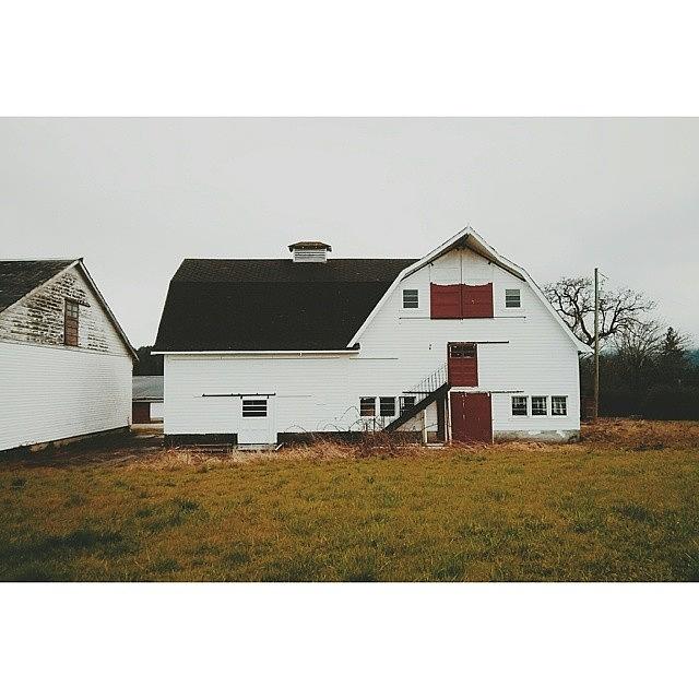 Vsco Photograph - Man Was Not Made For The Farm, But The by Brad Sinclair