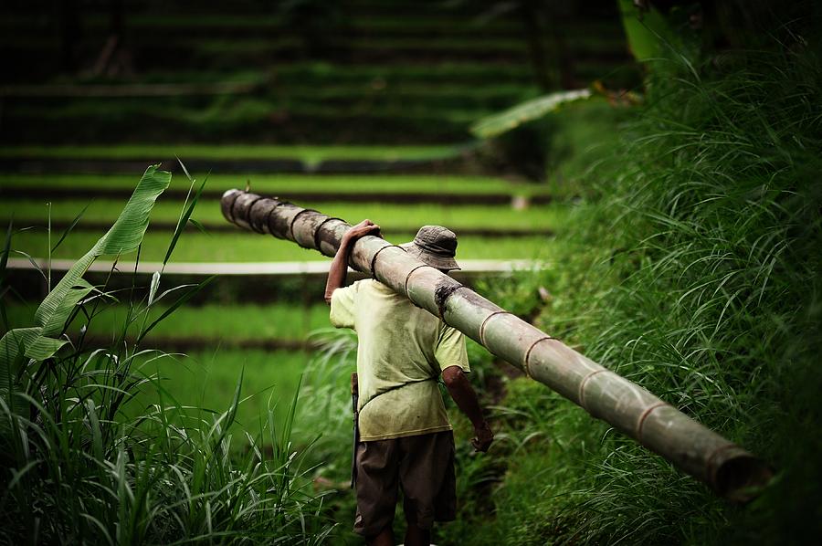 Man With A Bamboo Pole Photograph by Carlina Teteris