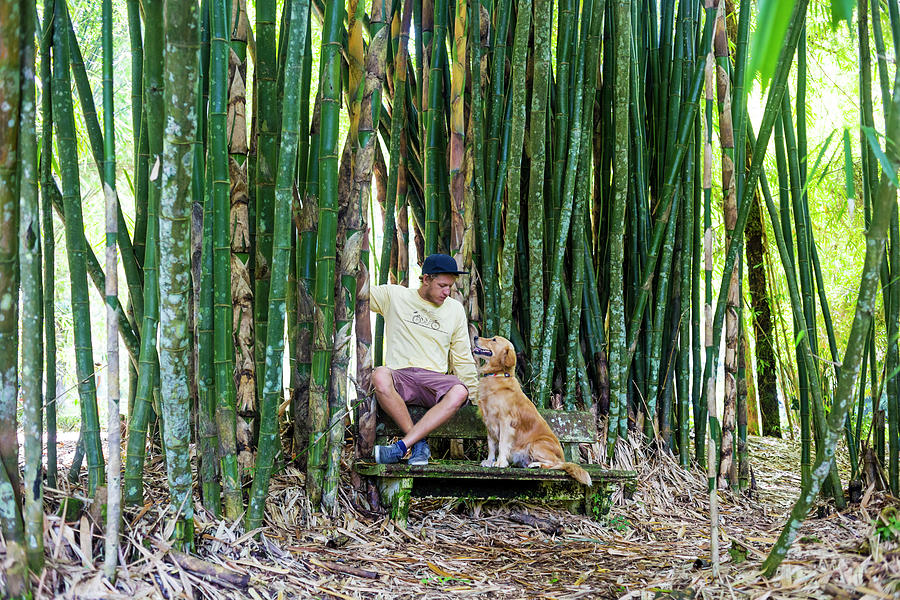 Man With Dog Sitting Under Bamboo Photograph By Konstantin Trubavin