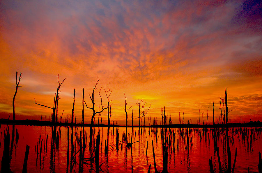 Manasquan Reservoir Before Dawn Photograph by Roger Becker