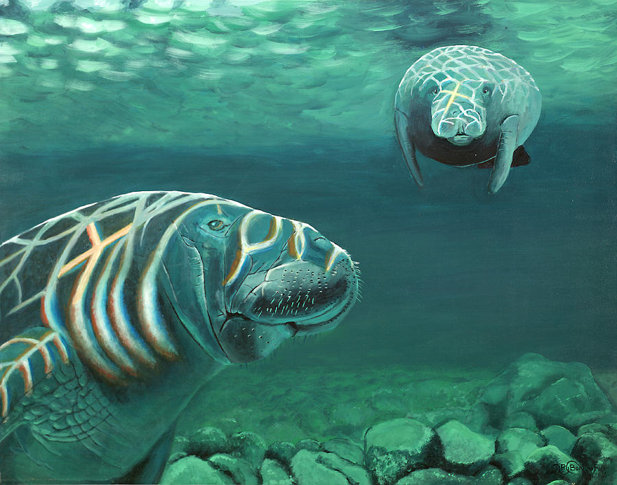 Wildlife Painting - Manatee Heaven by Peter Bonk Wildlife Painting - Manatee Heaven by Peter Bonk