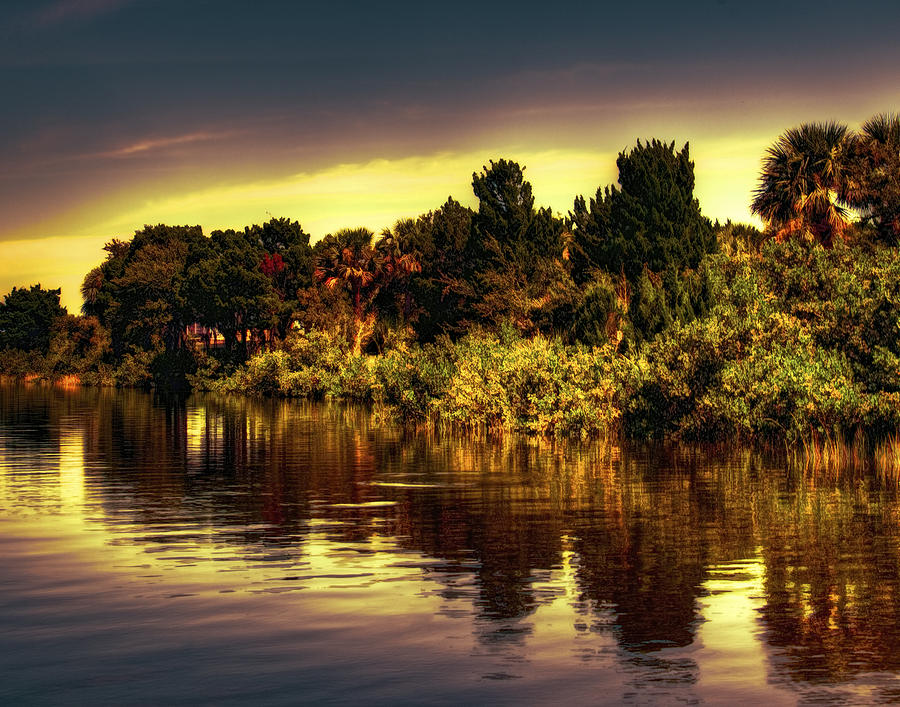 Manatee Island 1 Photograph by Michael Schwartzberg - Fine Art America