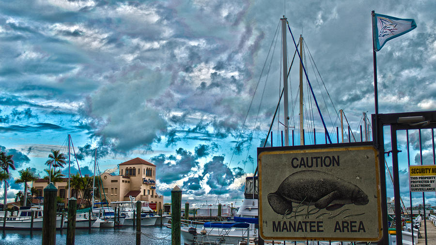Manatee River Harbor Photograph