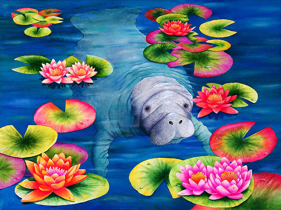 Nature Photograph - Manatees High Tea by MGL Meiklejohn Graphics Licensing