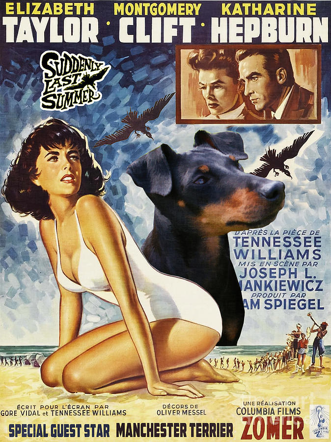 Manchester Terrier Art Canvas Print -  Suddenly Last Summer Movie Poster Painting by Sandra Sij