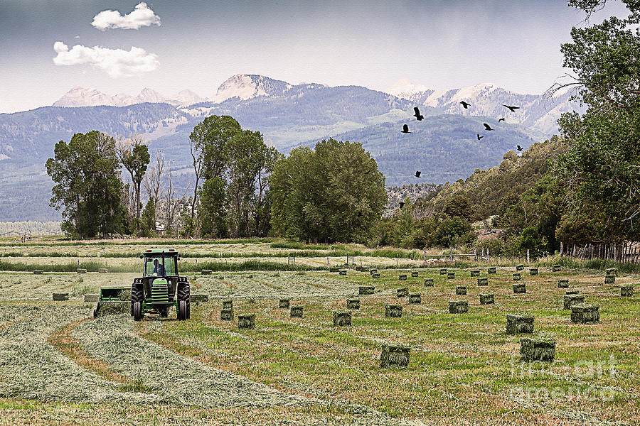 Mancos Colorado Landscape Photograph by Janice Pariza