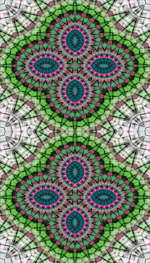 Abstract Digital Art - Mandala 111 for iPhone Single by Terry Reynoldson