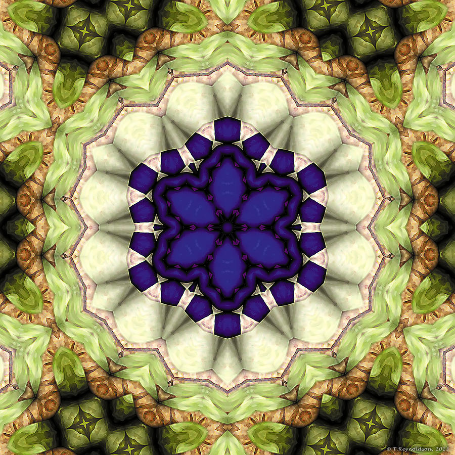 Geometric Pattern Digital Art - Mandala 114 by Terry Reynoldson