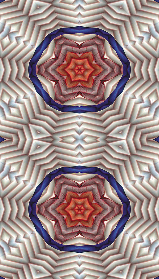 Abstract Digital Art - Mandala 12 for iPhone Double by Terry Reynoldson