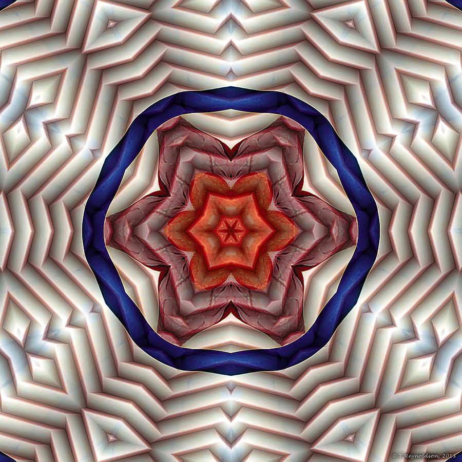 Nirvana Digital Art - Mandala 12 by Terry Reynoldson