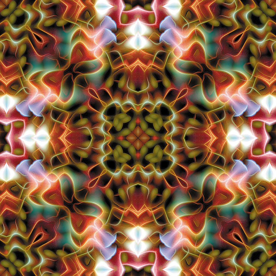 Inspirational Digital Art - Mandala 120 by Terry Reynoldson