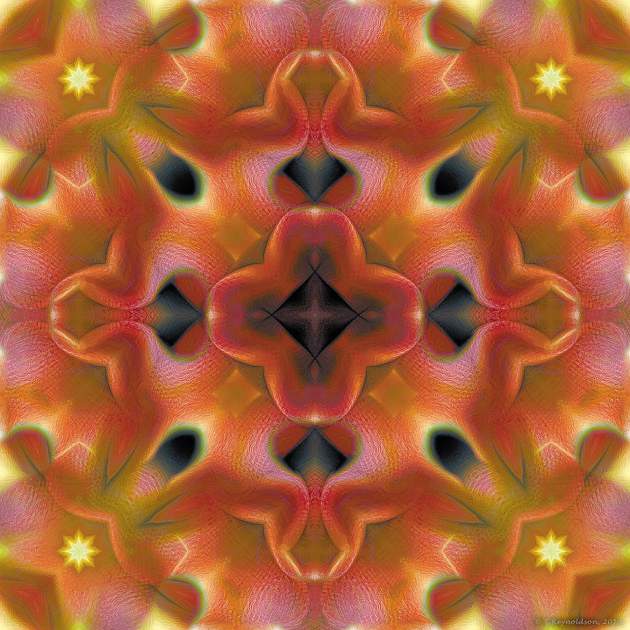Abstract Digital Art - Mandala 125 by Terry Reynoldson