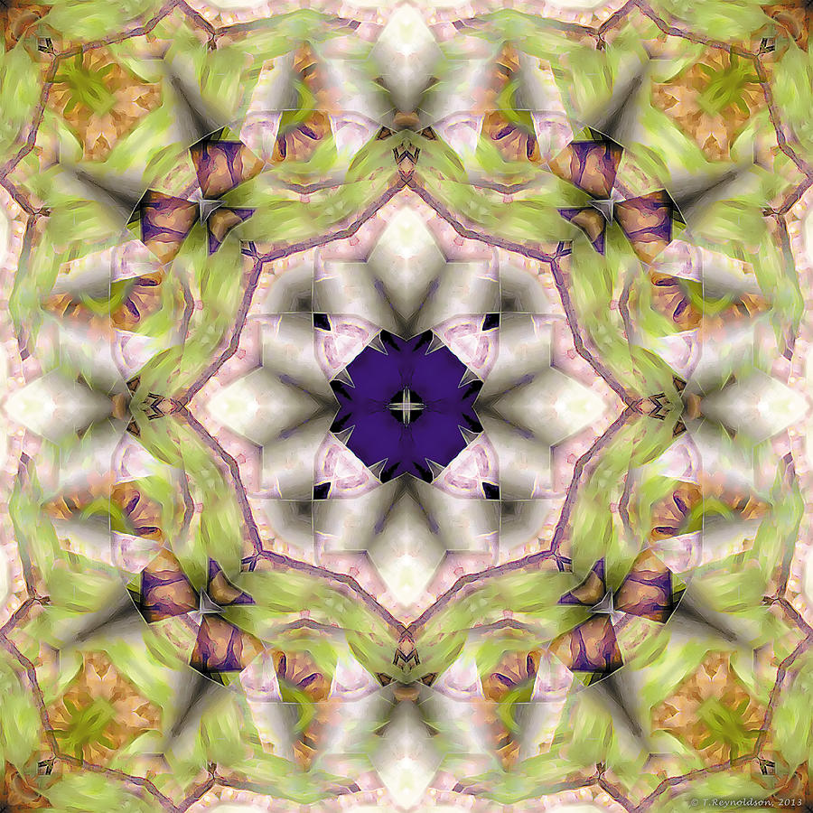 Nirvana Digital Art - Mandala 127 by Terry Reynoldson