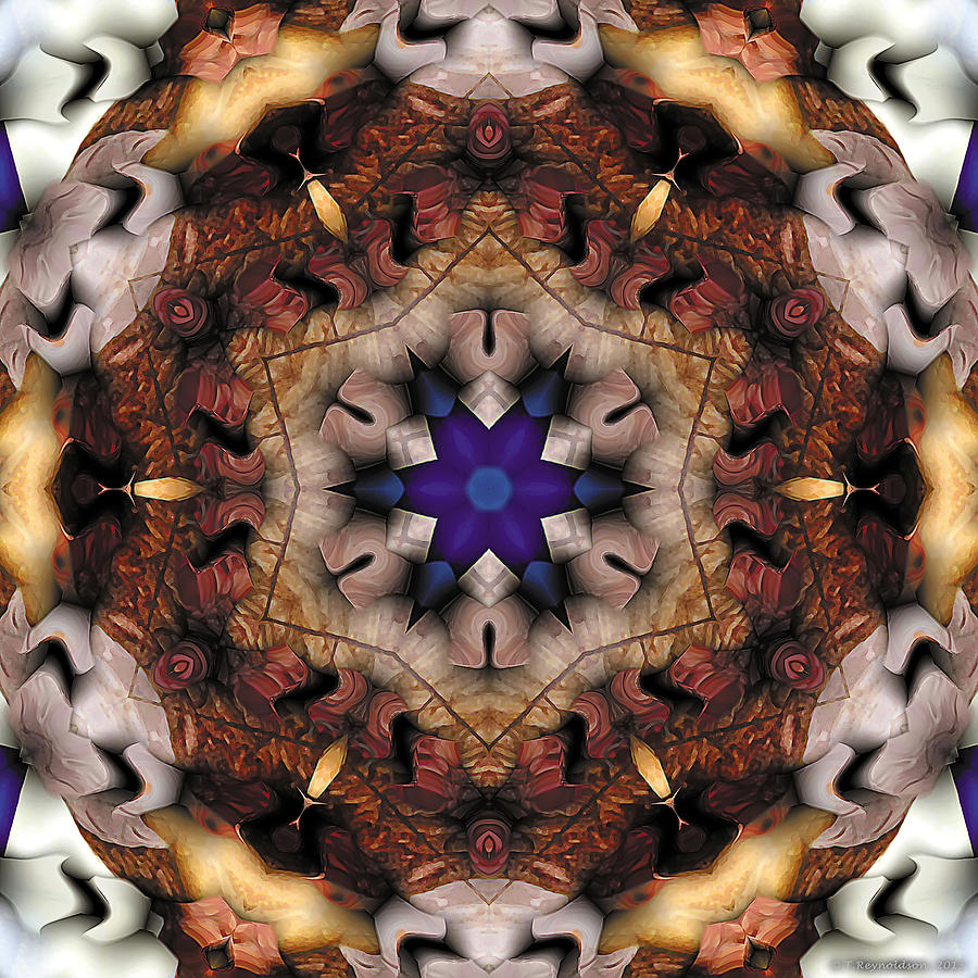 Nirvana Digital Art - Mandala 16 by Terry Reynoldson