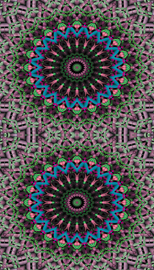 Abstract Digital Art - Mandala 33 for iPhone Double by Terry Reynoldson