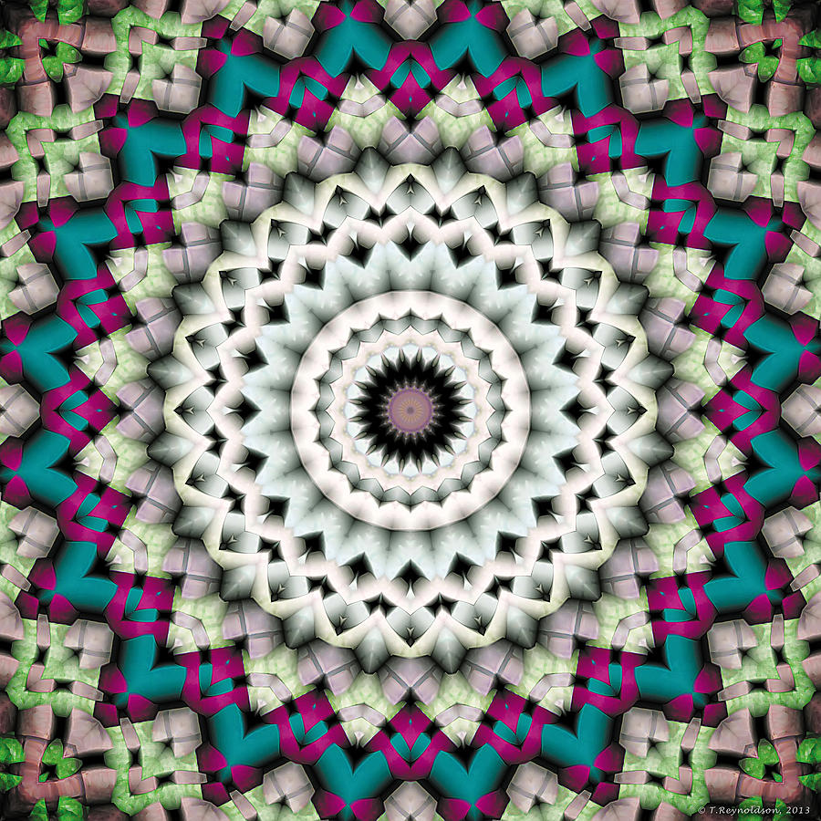 Inspirational Digital Art - Mandala 36 by Terry Reynoldson