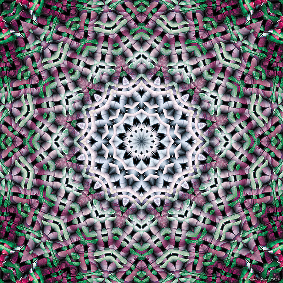 Inspirational Image Digital Art - Mandala 39 by Terry Reynoldson
