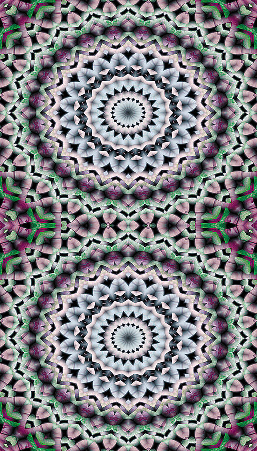 Abstract Digital Art - Mandala 40 for iPhone Double by Terry Reynoldson