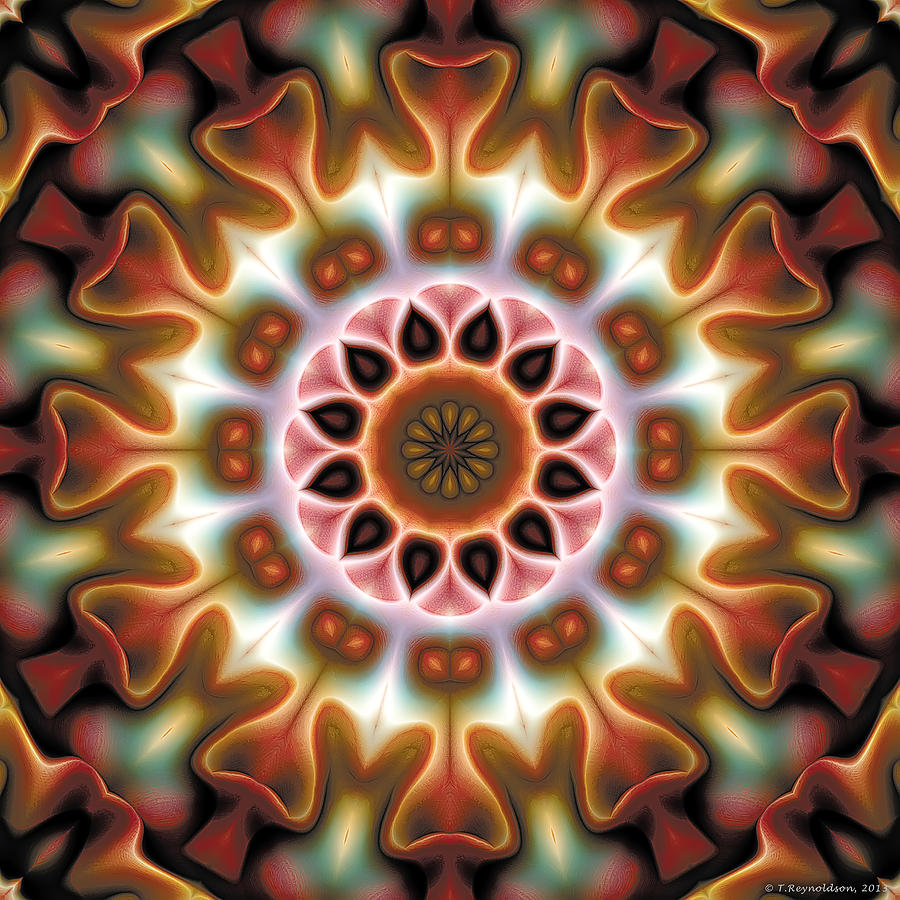 Nirvana Digital Art - Mandala 67 by Terry Reynoldson
