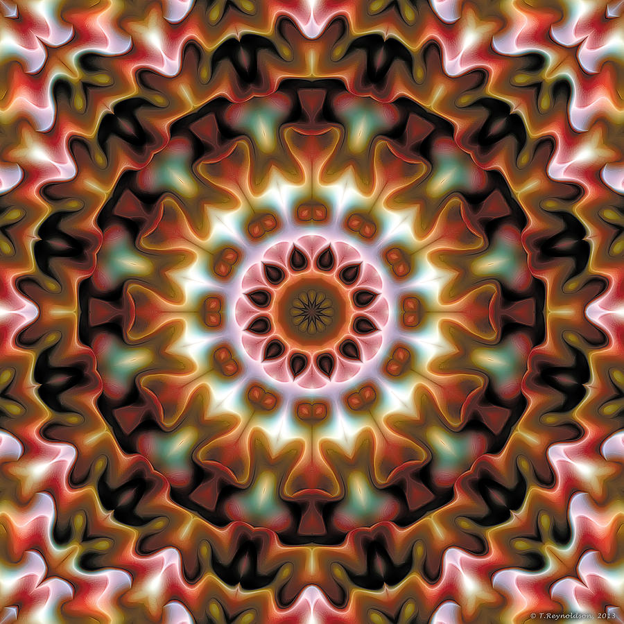 Inspirational Image Digital Art - Mandala 69 by Terry Reynoldson
